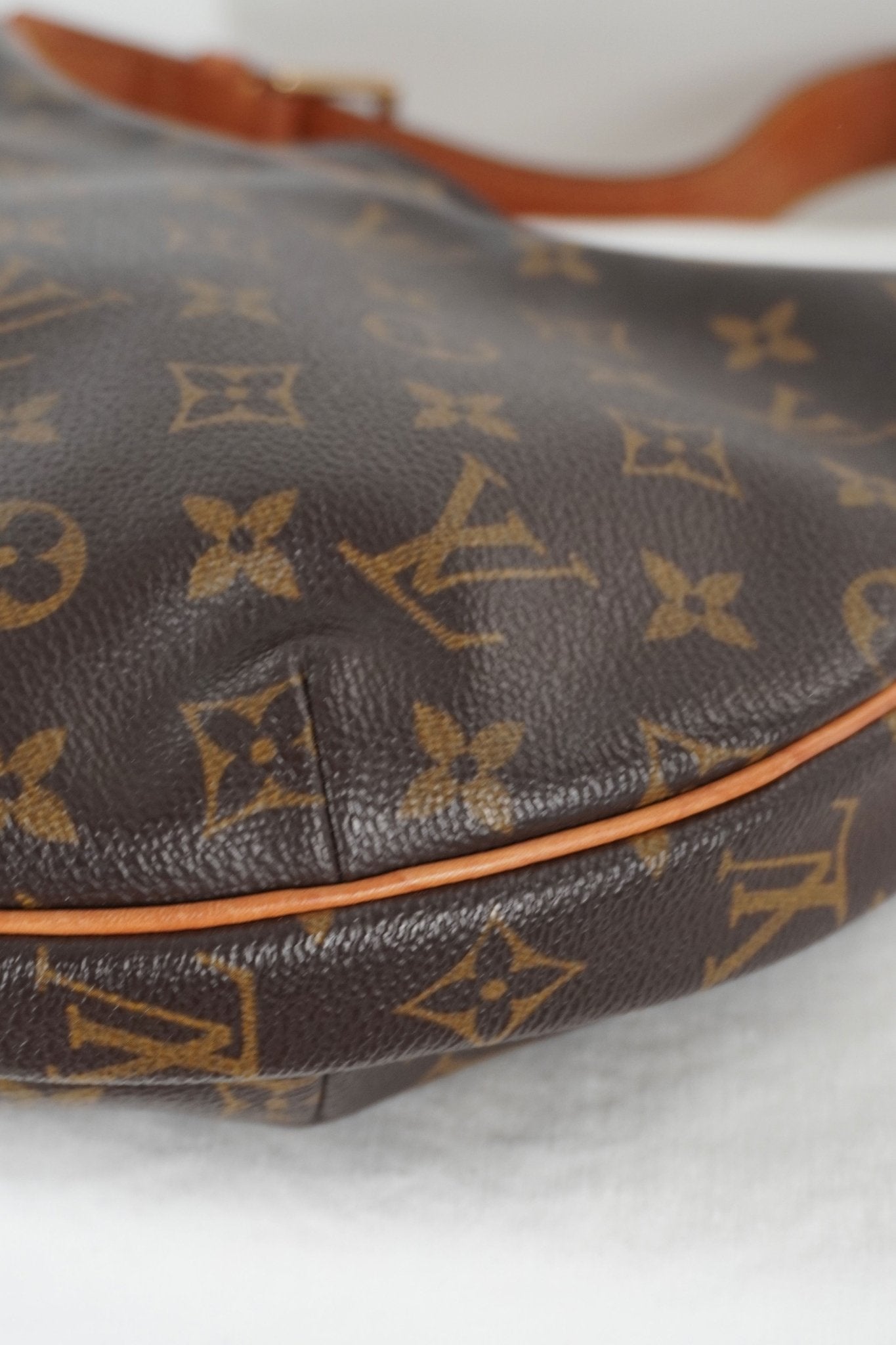Louis Vuitton Croissant MM Monogram Shoulder Bag - Jade Vintage
