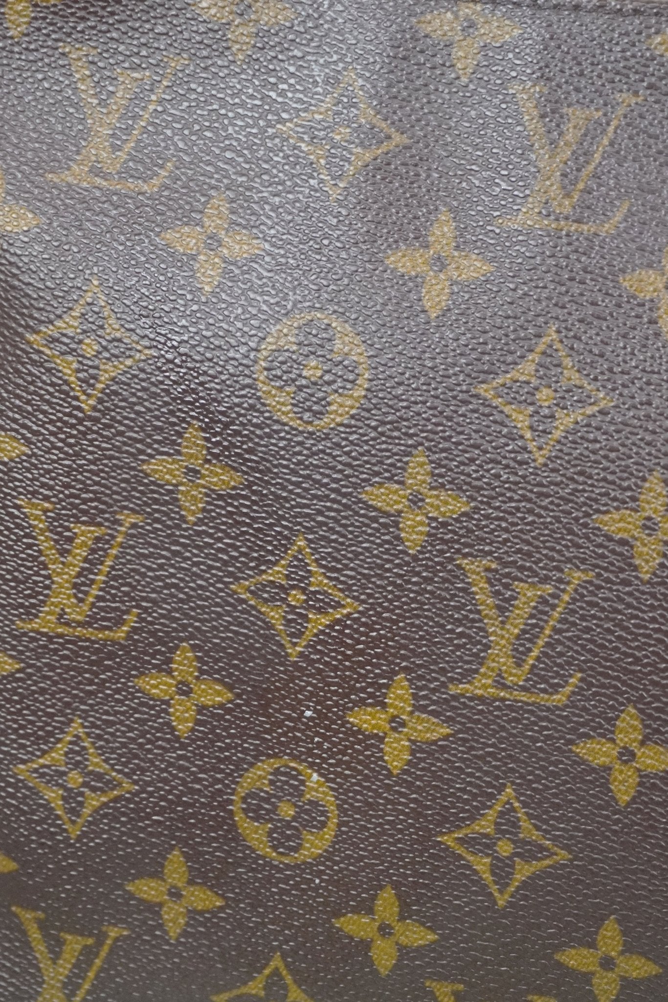 Louis Vuitton Looping MM - Jade Vintage