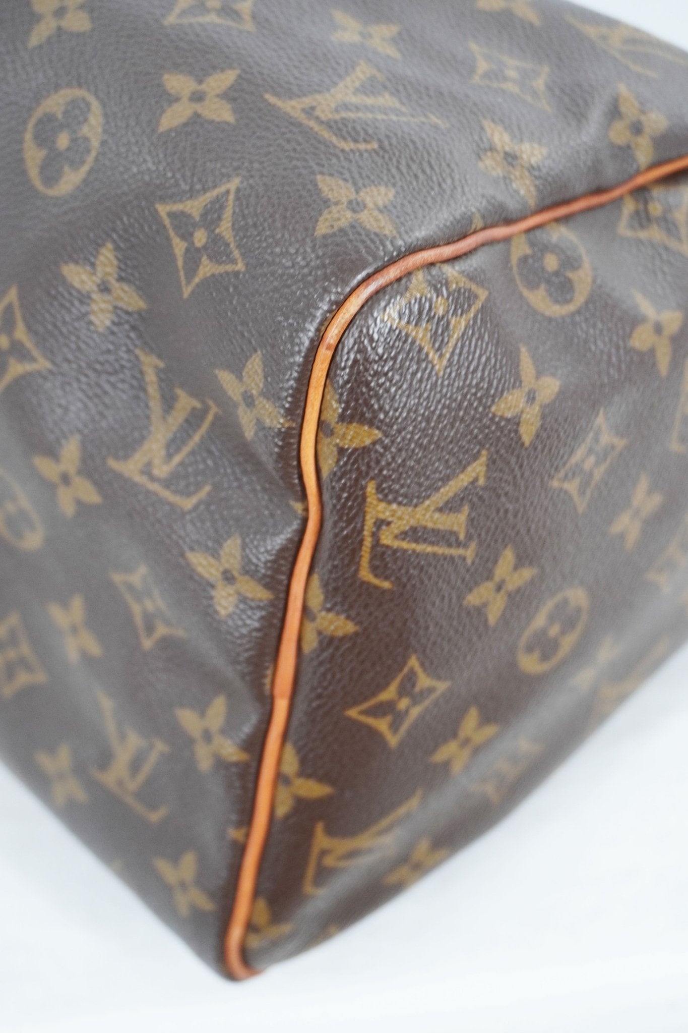 2006 Louis Vuitton Speedy 30 - Jade Vintage