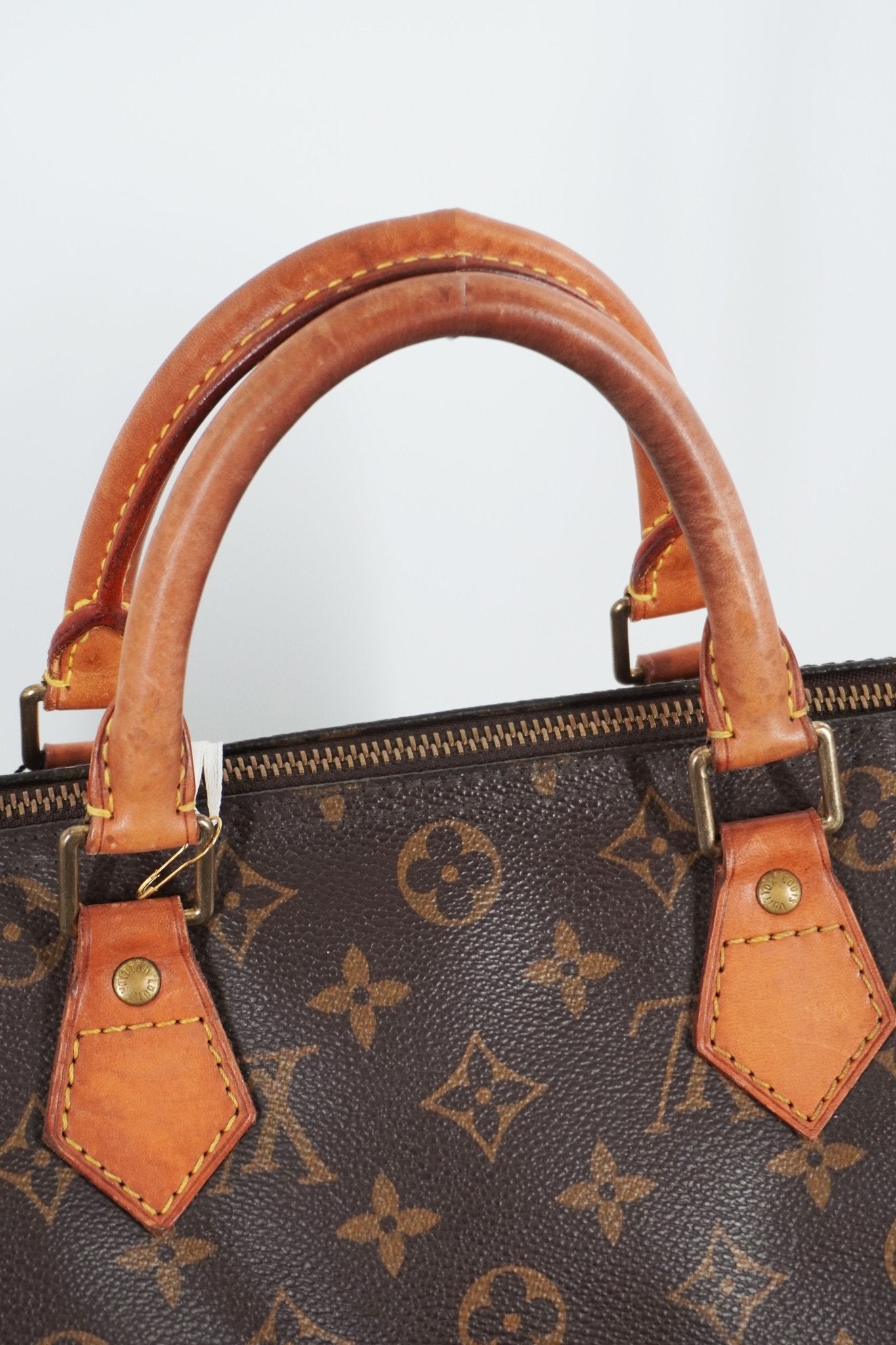 2006 Louis Vuitton Speedy 30 - Jade Vintage