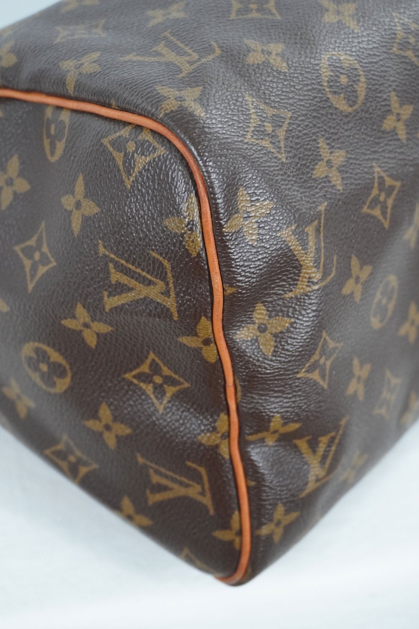2006 Louis Vuitton Speedy 30 - Jade Vintage